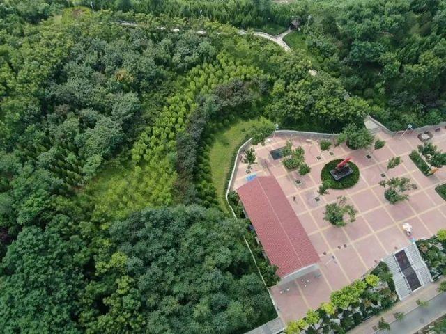 推窗见绿 出门即景，解锁市中“绿色生态”密码