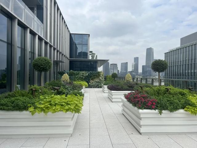  前滩着力构筑城市生态新景观，立体绿化融入时尚地标丨品质新生活