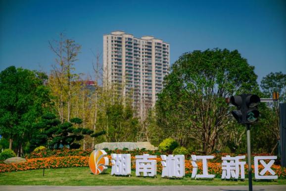 一流品质新区 || 更美、更靓、更精致！新区绿化“颜值”你感受到了吗？