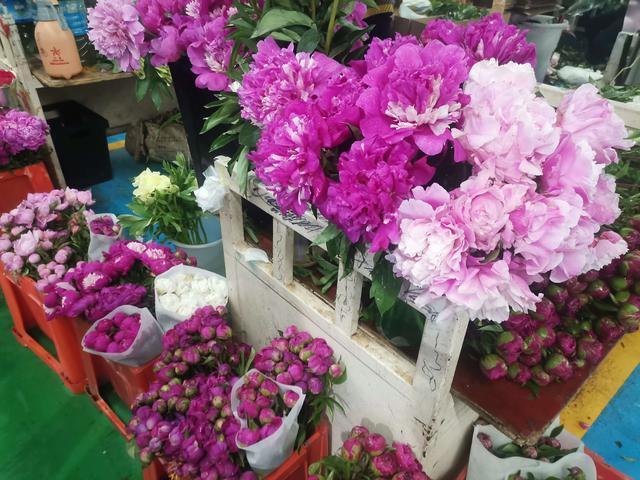 9种“吉祥花”，已沦为“便宜货”，但养了才知道，开花有多香