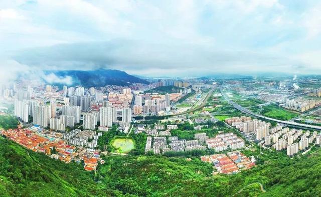 港城，绿化造林20850亩！