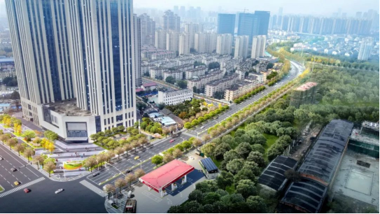 增加休憩设施 合肥长江东大街迎来景观绿化大提升