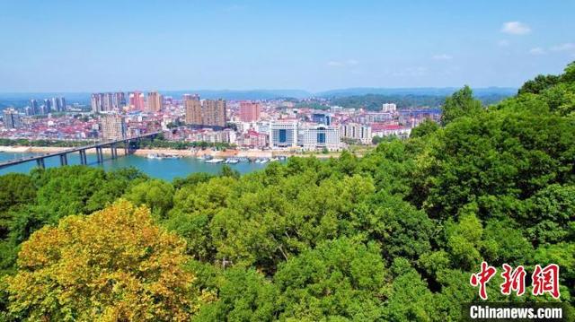 解码“全国绿化模范县” 湖南沅陵的“点绿成金”之路