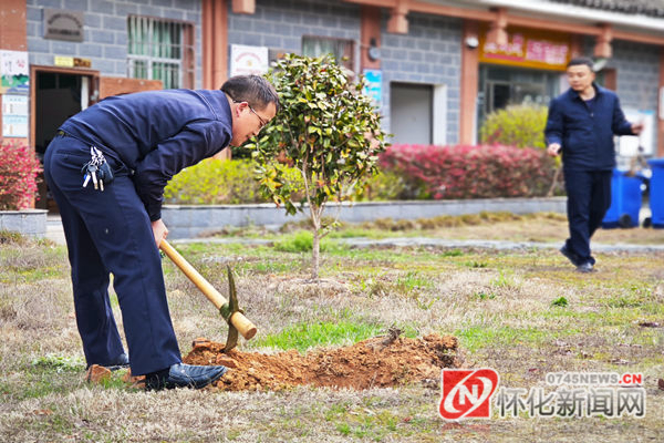图说怀化|植树绿化正当时