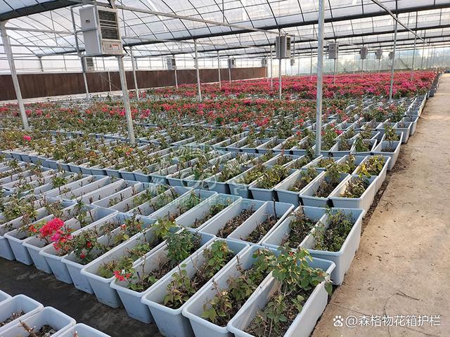 桥梁立体绿化高架桥花盆