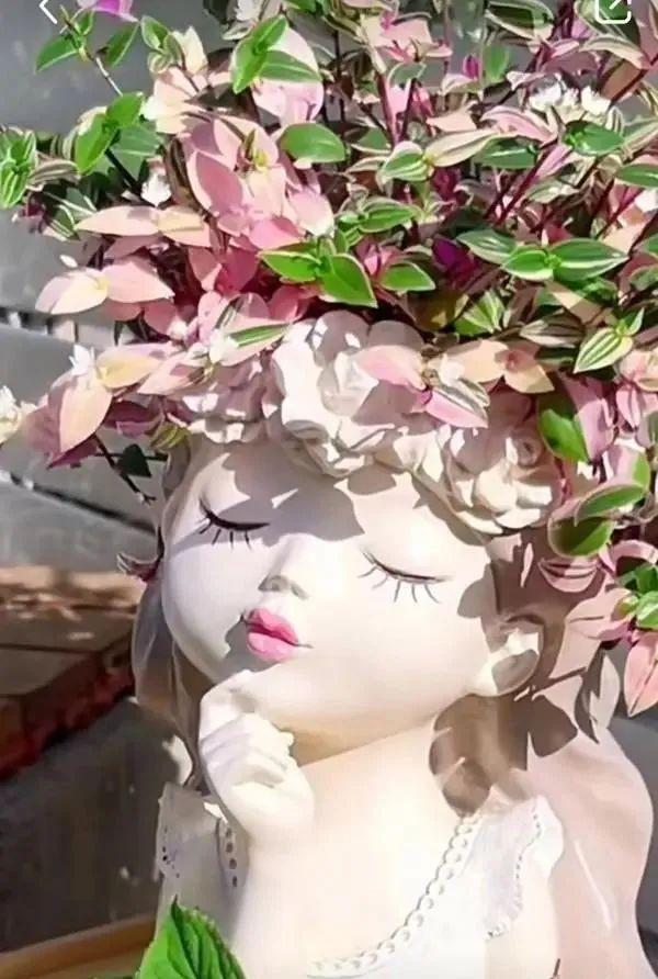 上海小姐姐用“娃娃花盆”养花，走红网络，网友：有趣又优雅