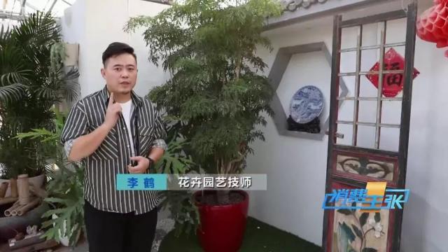 家里养花有啥讲究？这几点要注意