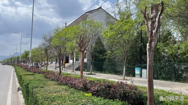 崆峒区园林局：提升改造绿化带 打造城市美好形象