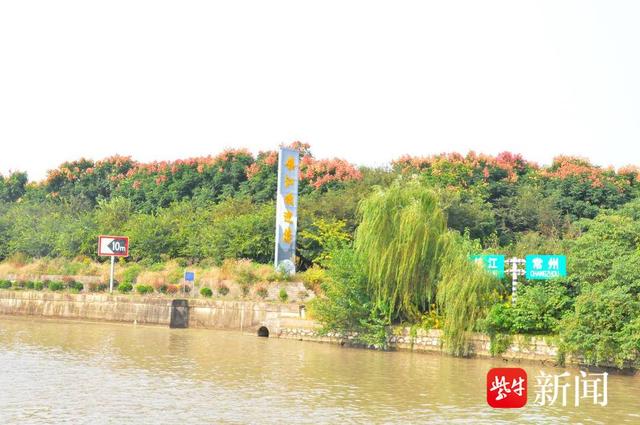 绿树成林，错落有致，苏南运河丹阳段护岸绿化工程呈现秋日丽景