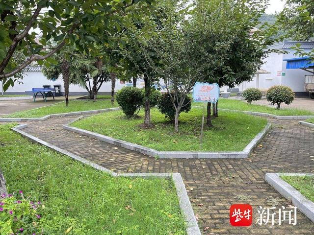 南京栖霞龙潭街社区实施绿化管养工程