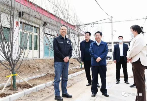 张涛调研国土绿化工作