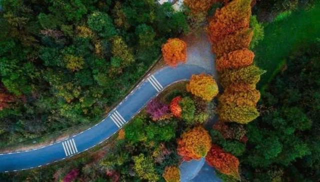浙江绿化美化精品道路及特色精品道路上新！