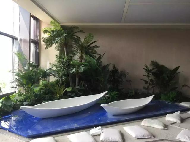 不要“地摊式”养花，一次简单搭配，能让7分的花，现出10分美丽