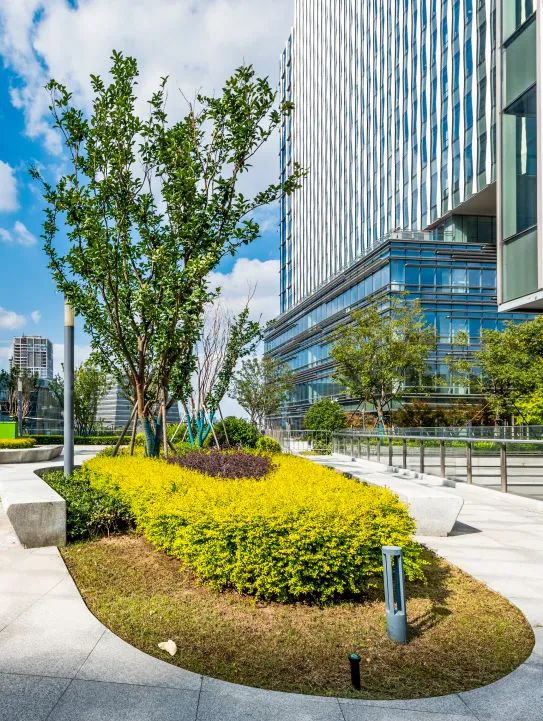 新增超25000m²！秀出绿化的立体美（附美图）