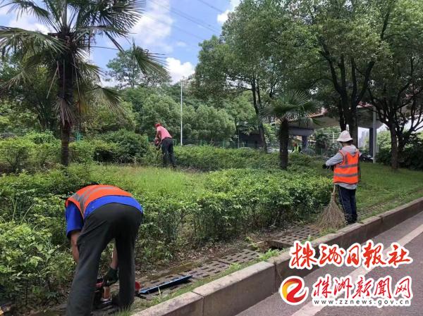 荷塘城管推进园林绿化整治 助力“百日攻坚”行动
