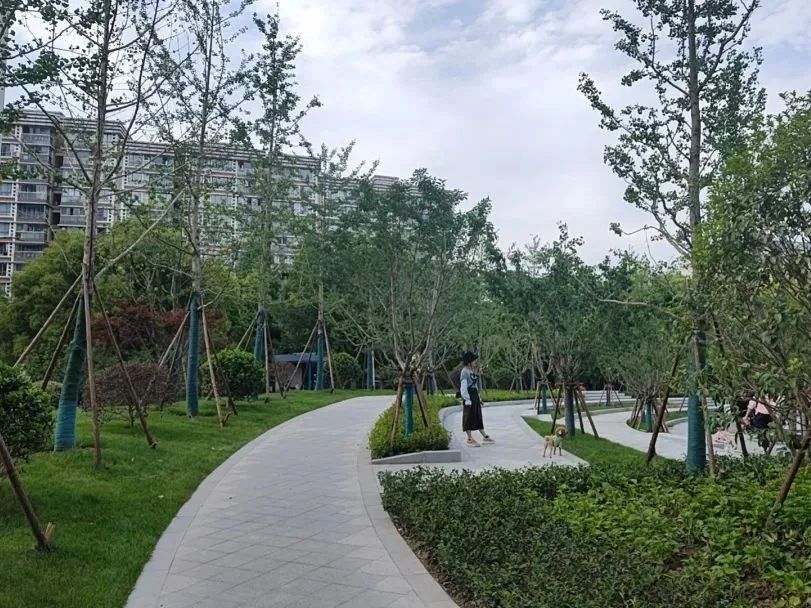 赞！长宁这三座地铁站周边的绿化景观焕新颜