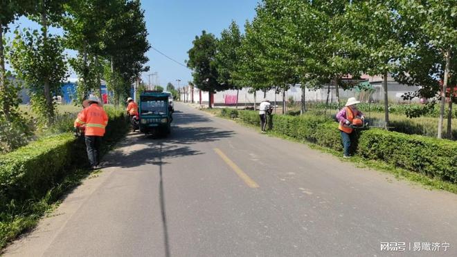 济宁高新区王因街道绿化养护在行动 济宁高新区王因街道绿化养护在行动