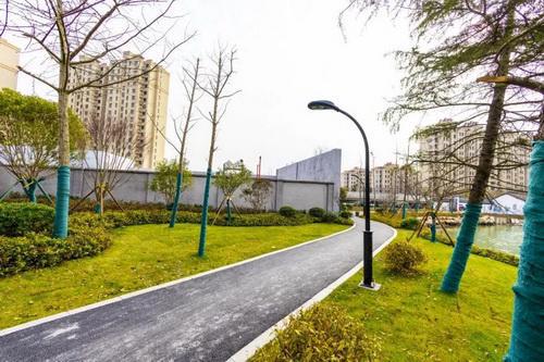 平湖市街头多处绿化容貌升级