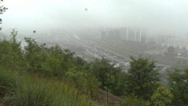 会宁：推进国土绿化 共建绿色家园