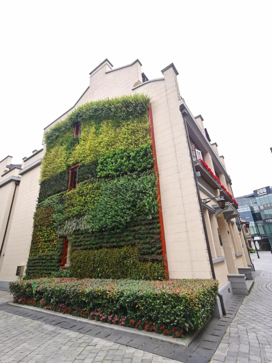 公园城市建设中的立体绿化，你知道哪些