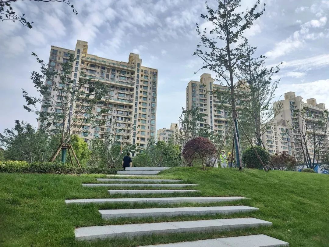 赞！长宁这三座地铁站周边的绿化景观焕新颜