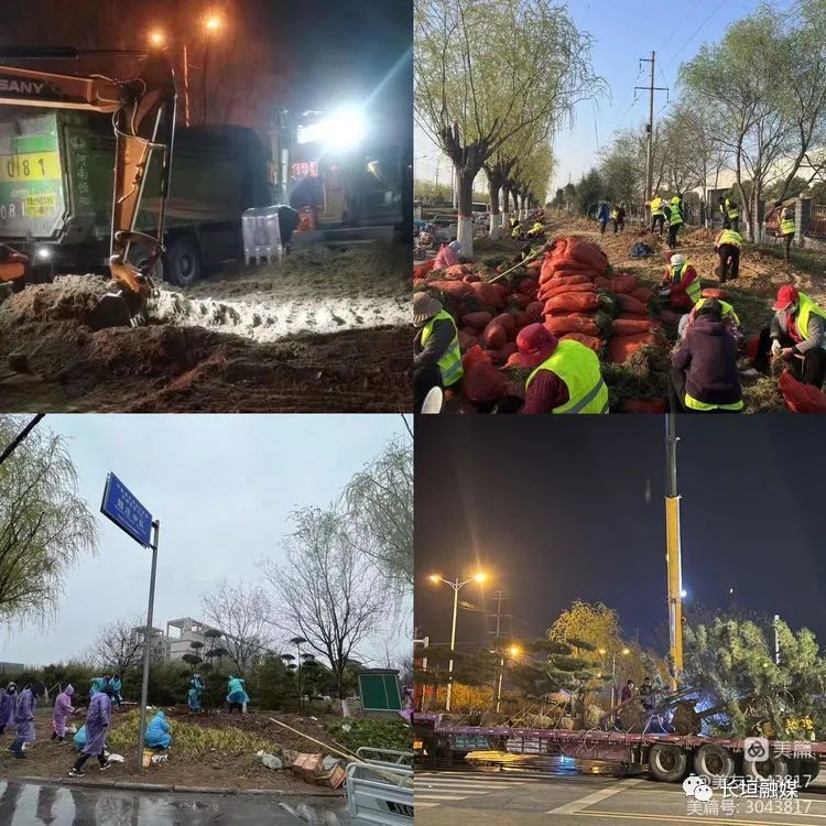 下足”绣花”功夫 彰显城管速度——市城市管理局高效推进巨人大道绿化改造提升工程