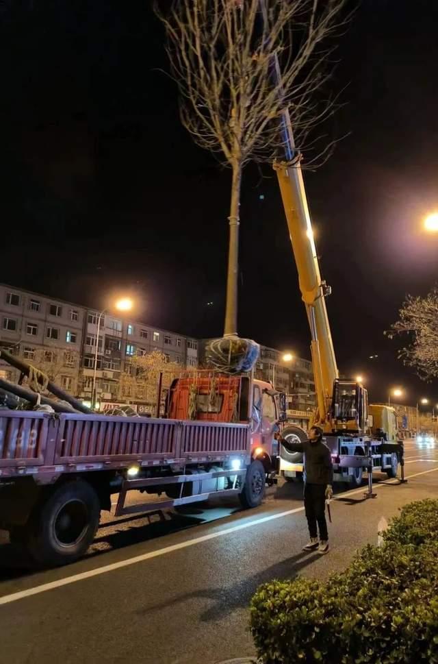 争分夺秒，全力冲刺，确保绿地景观优美良好