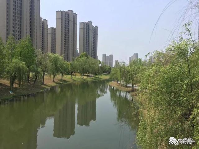 仪征今年城市绿化建设计划出炉 仪征今年城市绿化建设计划出炉