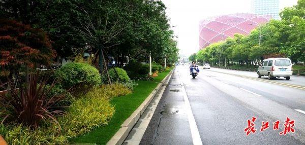 汉马赛道沿线绿化景观升级，60万盆时花扮靓节点
