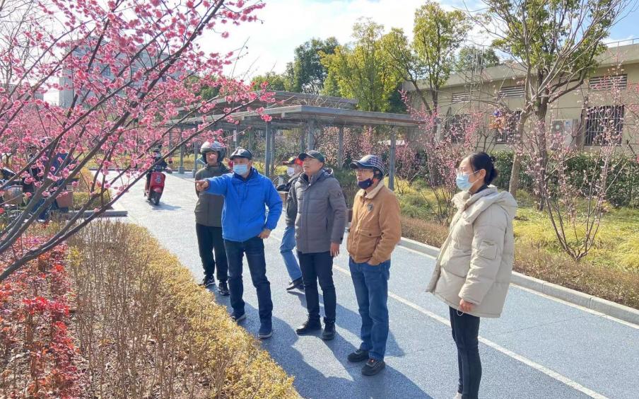 市绿化部门开展新一轮百条花道巡查考评工作