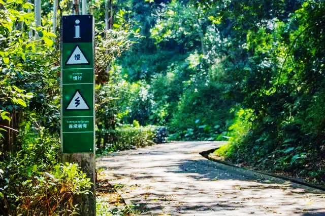 深圳凤凰山绿道