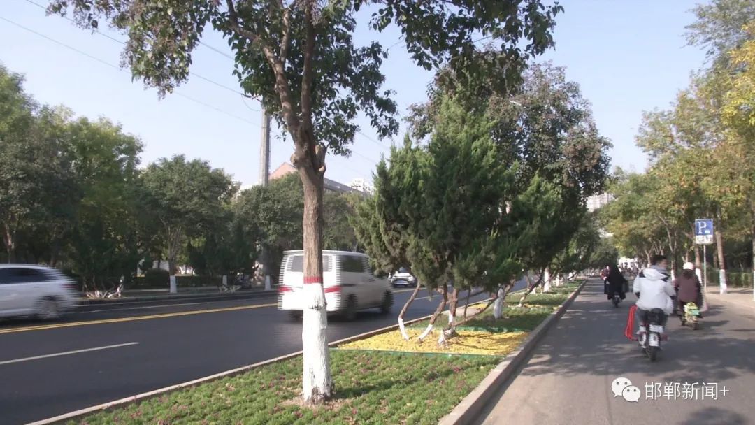 市园林局：打造绿化精品路段 为城市增绿添彩