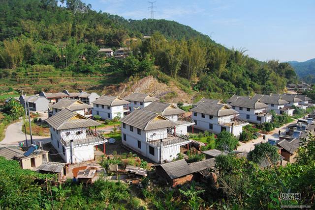 推进绿美城市建设 全力打造绿美图景