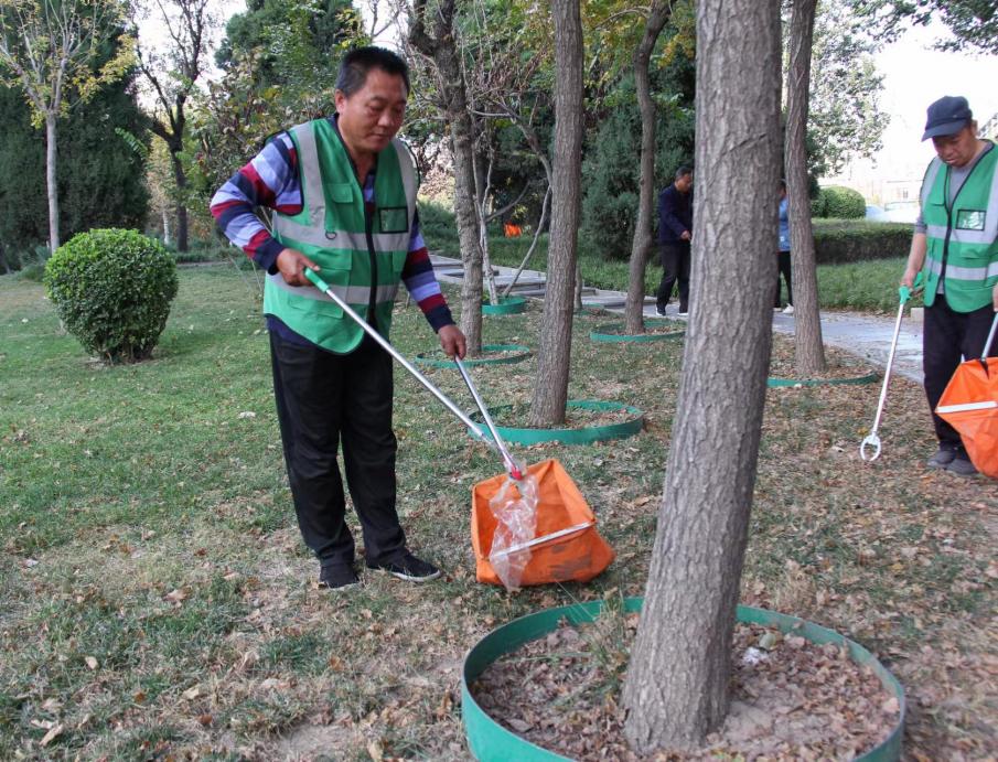 衡水市园林中心：下足“绣花功夫” 让绿化带“靓”起来