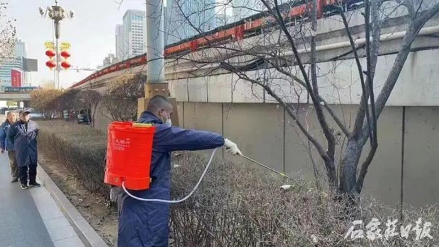 不负好春光 石家庄市园林部门积极开展春季绿化管护