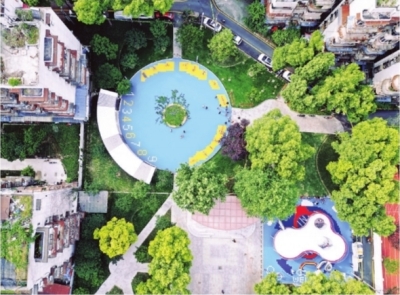 出门能赏花，社区蝶变为小园林