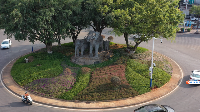 推进绿美城市建设 全力打造绿美图景