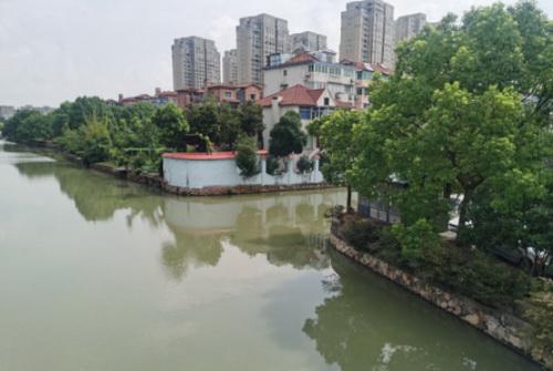 平湖市街头多处绿化容貌升级