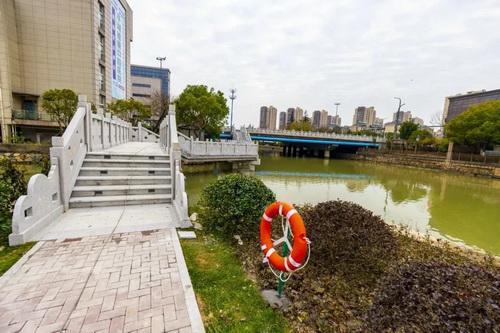 平湖市街头多处绿化容貌升级