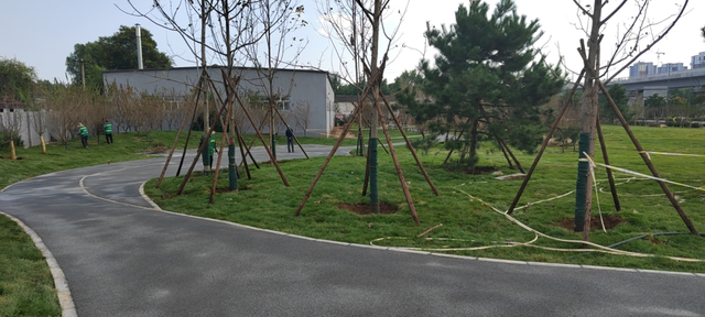 市住建局：加快绿化美化 提升城市“颜值”