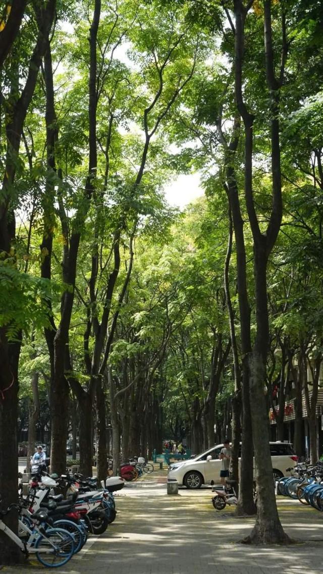 推动静安区“公园城市”发展目标，“百园融城”建设工程来了！