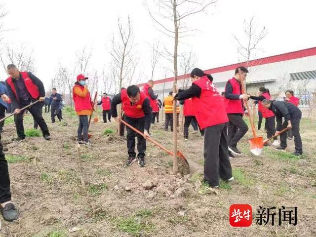 新沟镇志愿者绿化造林共铸美好家园