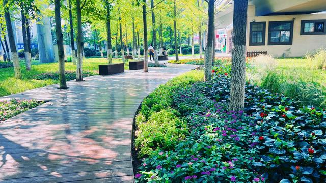 花韵缀城 园梦市南
