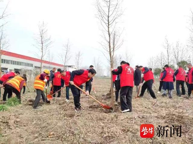 新沟镇志愿者绿化造林共铸美好家园