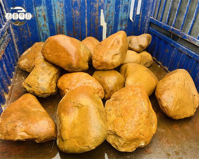 黄蜡石在园林景观中起到重要角色作用
