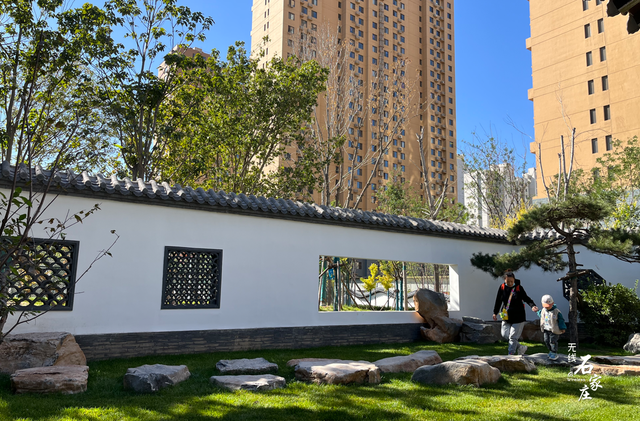 淡香墨染 芳华绽放——2022年美丽省会城市绿化项目塔南公园完工