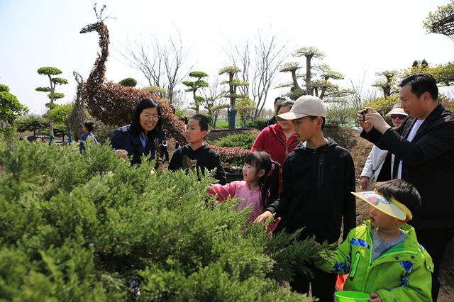 苗圃基地变研学基地，青岛市园林和林业局优化营商环境助企业发展