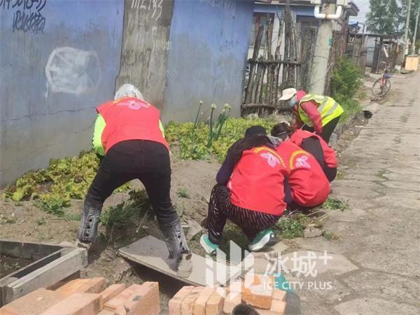 绿化巷路138条 | 23万余株花卉扮靓方正镇