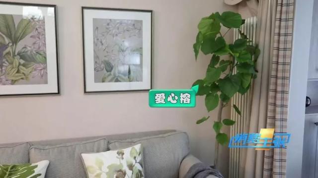 家里养花有啥讲究？这几点要注意
