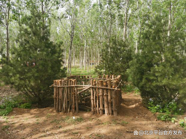 平谷区园林绿化局：绿色能量助推文明城区创建提质升优